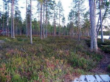 Фото номера Дом для отпуска Дома для отпуска Holiday Home Graniitti 3 г. Kinnula 18