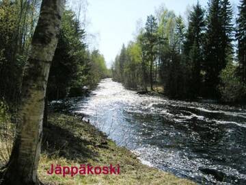 Фото Дома для отпуска Holiday Home Ranta-koivu г. Kinnula 3